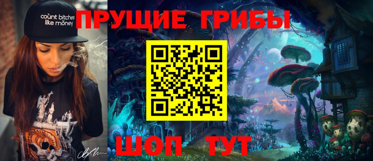 Новошахтинск  Галлюциногенные грибы Psilocybine cubensis  Вход с VPN 